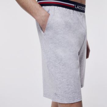 Lacoste Striped-Waist Long Boxer Briefs - Slipy Pánské Šedé | CZ-RwOO0k